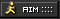 AIM Address